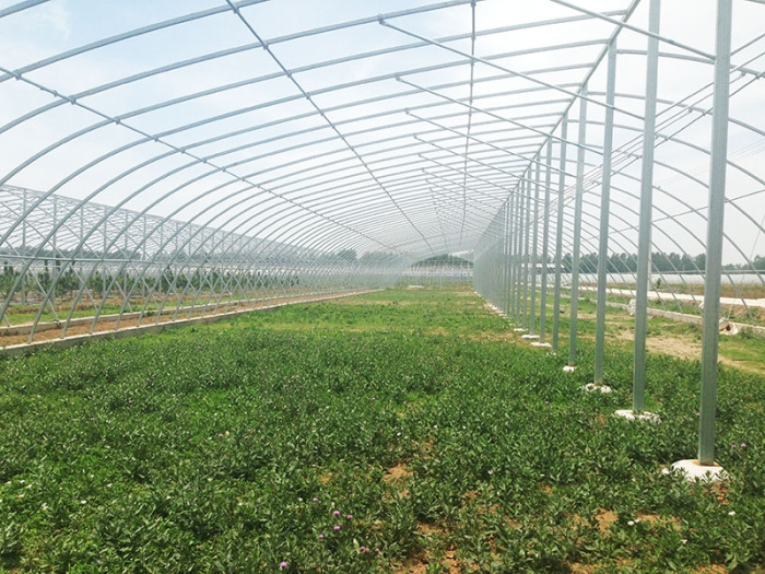 Insulation Single-Span Greenhouse