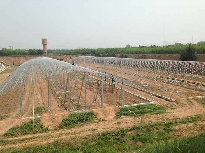 Insulation Single-Span Greenhouse