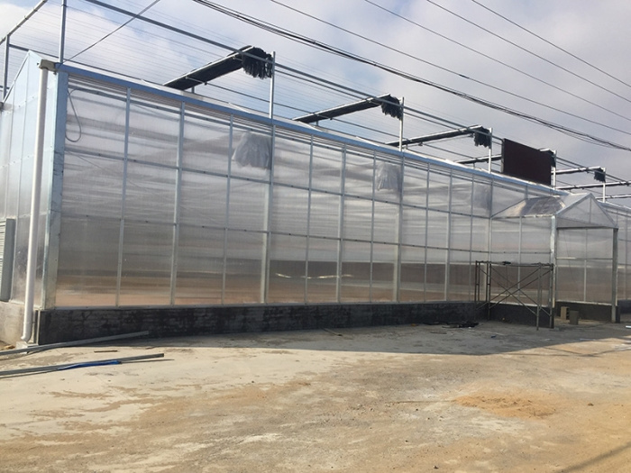 Sun panel greenhouse
