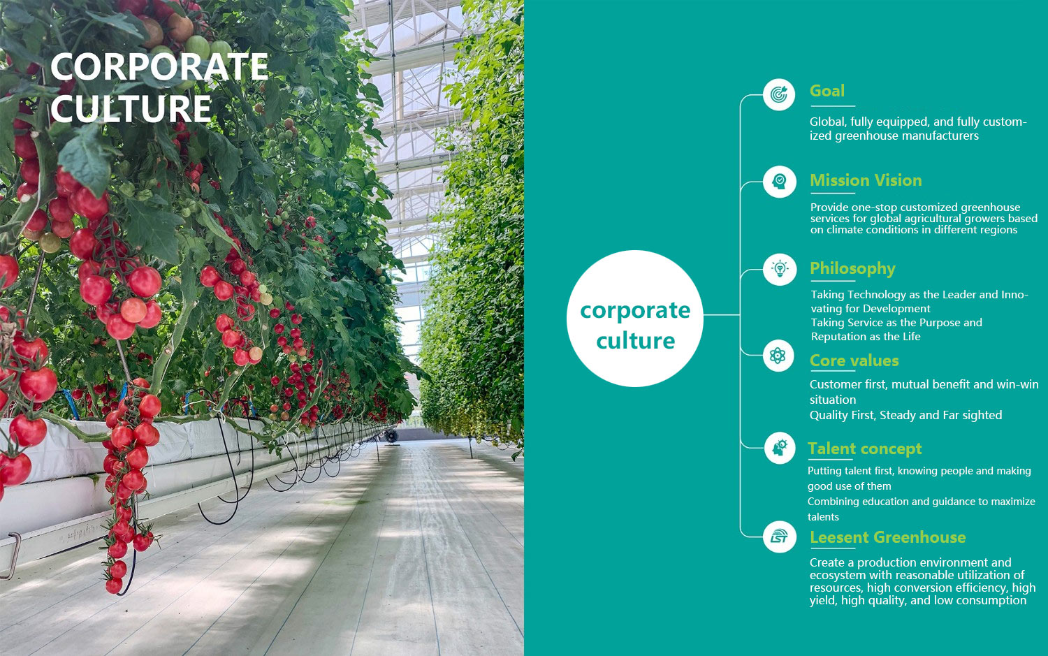 corporate culture
