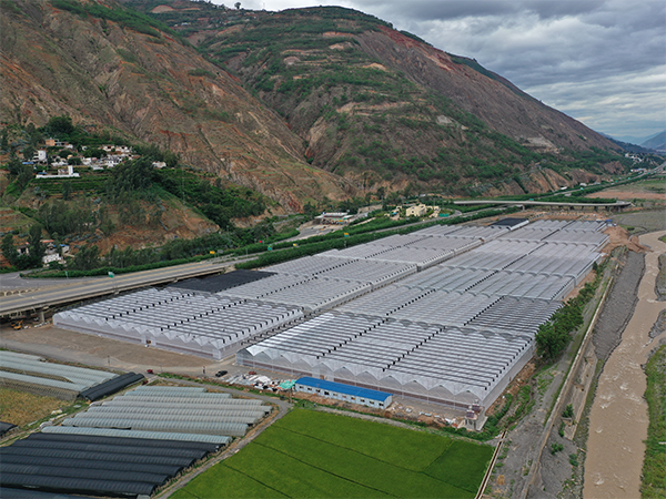 A 150-mu modern seedling greenhouse in Tuobuka, Dongchuan District, Kunming, Yunnan Province