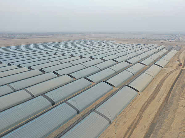 The Project of Solar Greenhouses in Yingjisha, Xinjiang