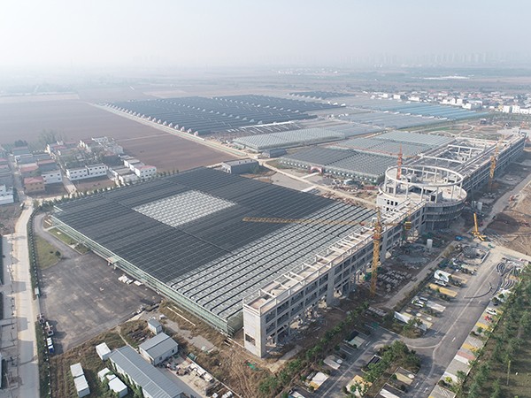 A 41,800-square-meter multi-span glass greenhouse in Zhoukou, Henan Province