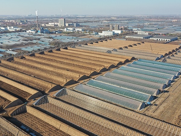 Shouguang Lixent Digital Agricultural Science and Technology Innovation Park covers 641 acres