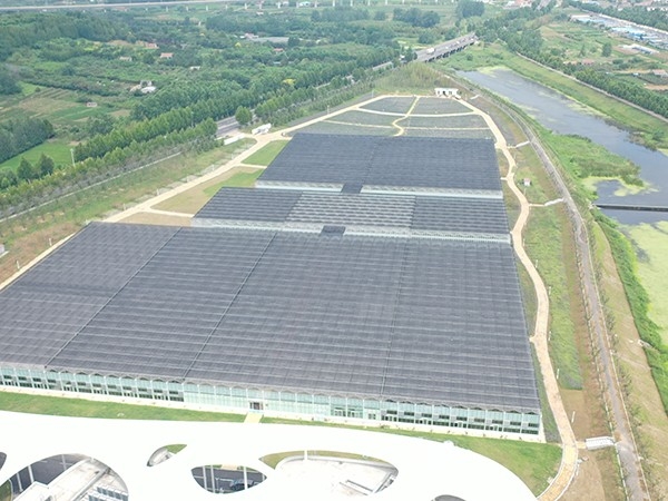 15000 square meter glass greenhouse in the demonstration zone of rural industrial integration development in Lanshan District, Rizhao City, Shandong Province