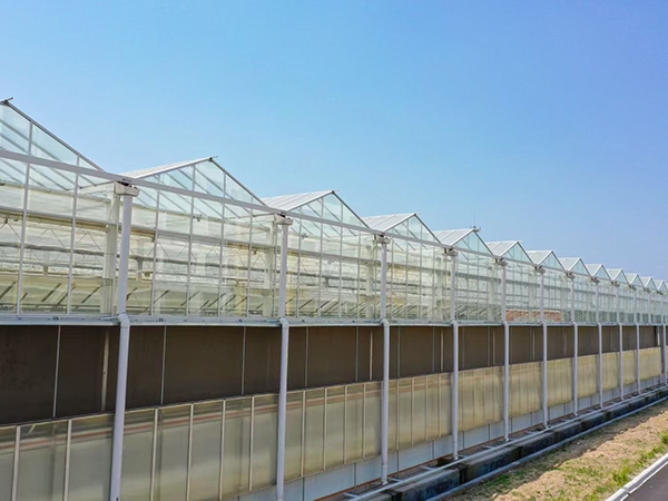 Intelligent glass greenhouse