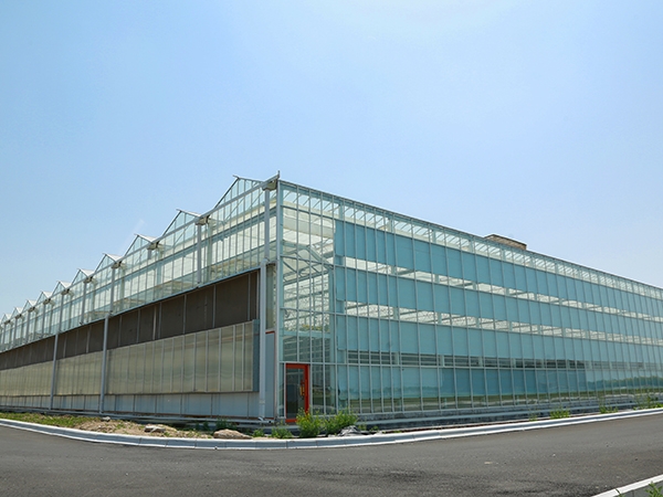Intelligent glass greenhouse