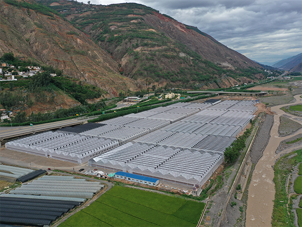 150 acre modern seedling greenhouse in Tuobuka, Dongchuan District, Kunming, Yunnan