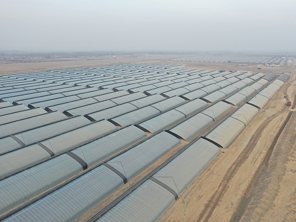 The Project of Solar Greenhouses in Yingjisha, Xinjiang