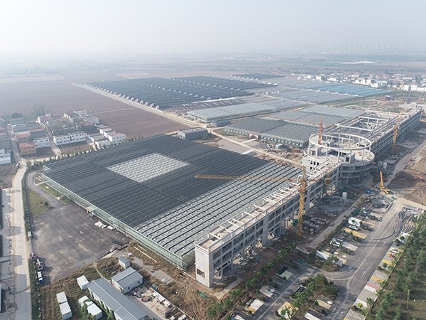 A 41,800-square-meter multi-span glass greenhouse in Zhoukou, Henan Province