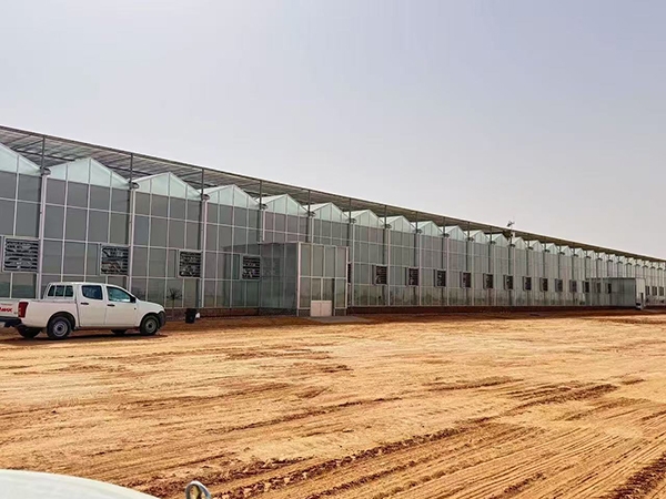 Yuxian Haoyu Group, город Рижао, провинция Шаньдун 70 000 квадратных метров стеклянной теплицы