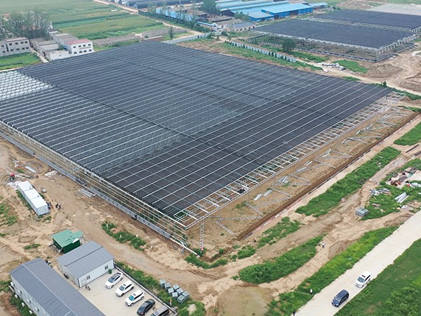 湖南省株洲市15040平方玻璃温室
